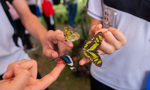 Cali se consolida como capital mundial de la biodiversidad con un evento de talla internacional
