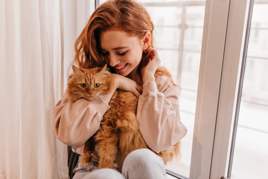Colombia celebra el Día Internacional del Gato con un enfoque en el bienestar y la tenencia responsable