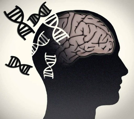 Descubren ocho nuevos genes vinculados al riesgo de esquizofrenia