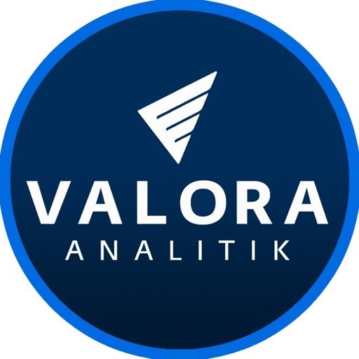 Valora Analitik icon